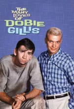 Many Loves of Dobie Gillis, The