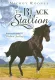 Black Stallion, The