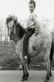 Road to God Knows Where, The