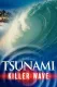 Tsunami - Smrtící vlna