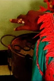 Les Senegalaises et la Senegauloise