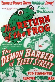 Return of the Frog