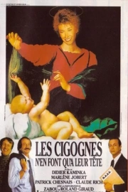 Cigognes n'en font qu'ŕ leur tęte, Les