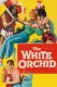 White Orchid, The