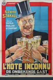 Unbekannte Gast, Der