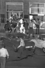 Todorov - Ein Gangsterfilm