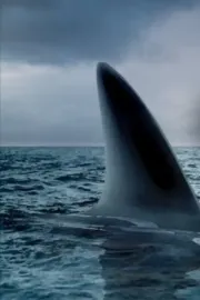 Ocean of Fear: Worst Shark Attack Ever