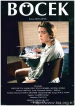 Bocek