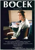 Bocek