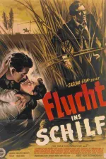 Flucht ins Schilf