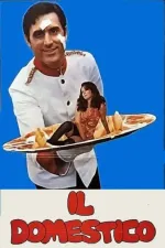 Domestico, Il