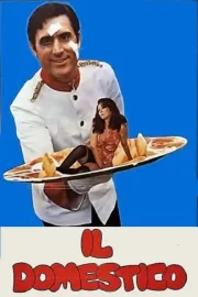 Domestico, Il