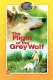 Flight of the Grey Wolf