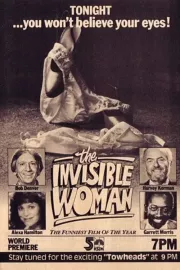Invisible Woman, The