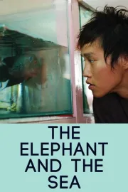 Elephant and the Sea, The
