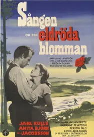 Sĺngen om den eldröda blomman