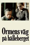 Ormens väg pa hälleberget