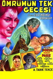 Ömrümün tek gecesi