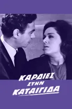 Kardies stin kataigida