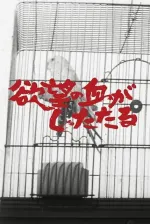 Yokubo no chi ga shitataru