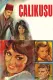 Çalikusu