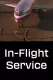 In Flight Service
