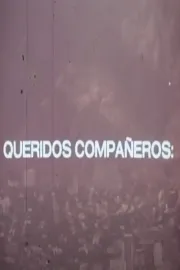Queridos compañeros