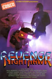 Revenge of the Nighthawk