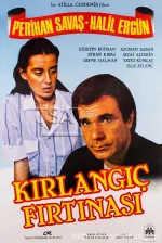 Kirlangiç firtinasi