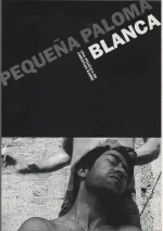 Pequeña paloma blanca