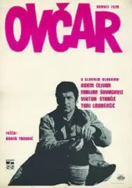 Ovcar
