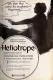 Heliotrope
