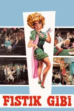 Fistik gibi