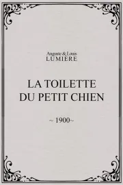 La toilette du petit chien