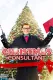 The Christmas Consultant