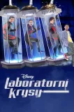 Lab Rats