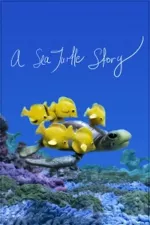 Příběh mořské želvy