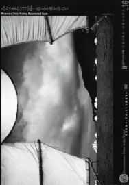 Minamata nikki: Yoigaeru tamashii o tazunete