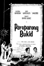 Paruparong bukid
