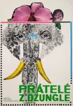 Přátelé z džungle