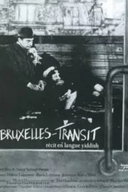 Bruselský tranzit