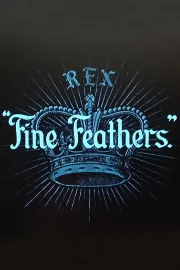 Fine Feathers