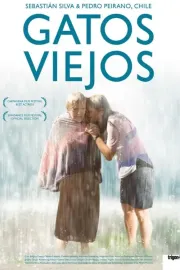 Staré kočky