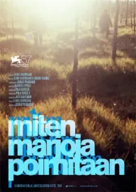 Jak se sbírají lesní plody