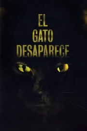 El gato desaparece