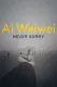 Ai Wei Wei: Ničeho nelituji
