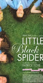 Little black spiders