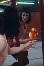 Solar Flares Burn for You