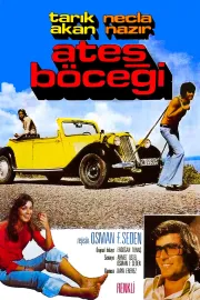 Ates böcegi
