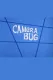 Camera Bug